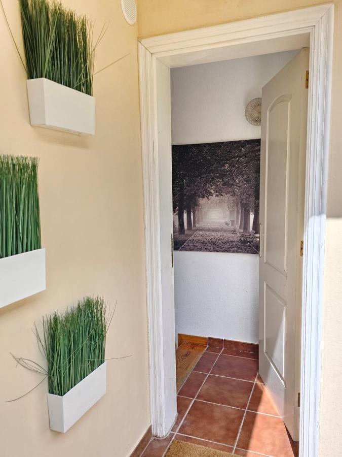 New Holiday Home Beautiful Sea View With Aircon, Costa Adeje Costa Adeje  Eksteriør bilde