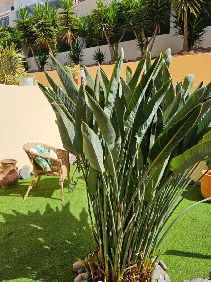 New Holiday Home Beautiful Sea View With Aircon, Costa Adeje Costa Adeje  Eksteriør bilde
